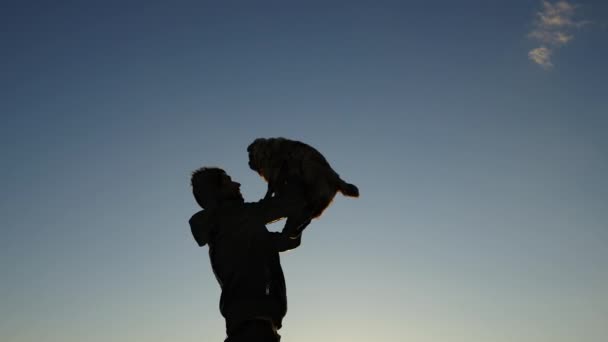 男人把一只快乐的哈巴狗抛向空中，拥抱着落日的天空 — 图库视频影像