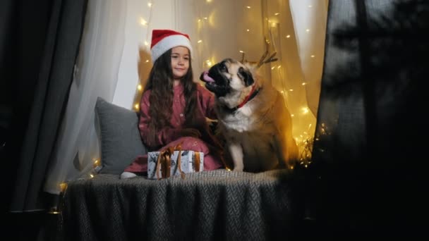 Liten söt flicka med sin roliga mops hund sitter på fönsterbrädan dekorerad med en krans, julafton. — Stockvideo