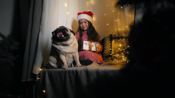 Kleine süße Mädchen mit Weihnachtsmütze, die einem Mops, der auf der Fensterbank sitzt und mit einer Girlande geschmückt ist, an Heiligabend ein Geschenk macht — Stockvideo