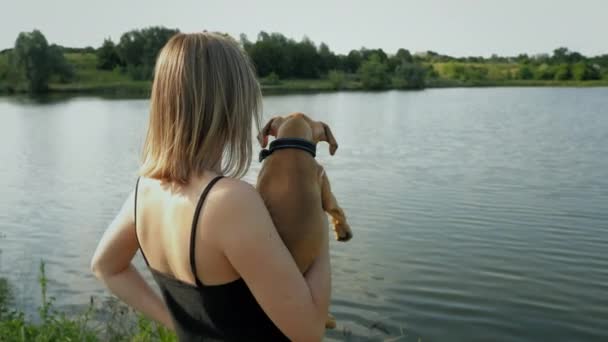У природі біля озера є милий німецький боксер, жінка тримає собаку на руках. — стокове відео