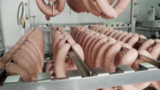 Сира ковбаса, що звисає на полиці на м'ясному заводі, процес виробництва продуктів харчування . — стокове відео