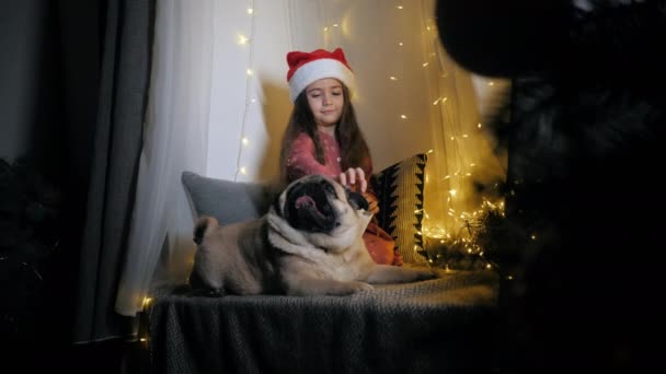 Маленька мила дівчинка в капелюсі Санта дарує подарунок мопсу собаці, сидячи на підвіконні, прикрашеному гірляндою, напередодні Різдва — стокове відео