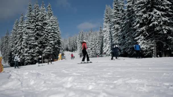 スキー場を滑り降りるスキーヤー、冬の山の中で活発な休息 — ストック動画
