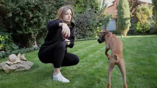 Woman play with her dog on green backyard, active puppy of German boxer jumping and hunting for the hand — Stock Video