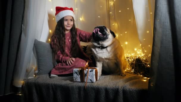 Liten söt flicka i tomte hatt ger en gåva till en mops hund, sitter på fönsterbrädan dekorerad med en krans, julafton — Stockvideo