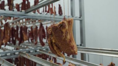 Buzdolabında bir sürü iştah açıcı tütsülenmiş et var.