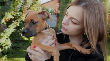 Küçük bir Alman boksör yavrusunu kollarında tutan, tatlı bir köpeği öpen ve kucaklayan bir kadın.