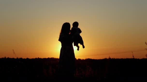 Silueta při západu slunce, šťastná matka víří své dítě, objetí a polibky — Stock video