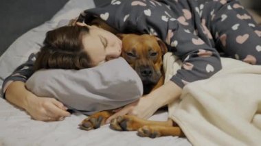 Pijamalı genç bir kadın boksör köpeği ile evde uyuyor, köpek battaniyenin altında yatıyor.