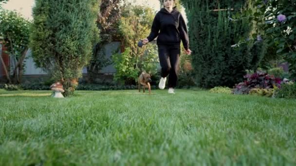 活跃的德国拳击手小狗在镜头前跑来跑去 小狗和主人一起在草坪上散步 牵着皮带 — 图库视频影像