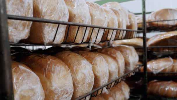 Pão Fresco Está Nas Prateleiras Prontas Para Venda Processo Fazer — Vídeo de Stock