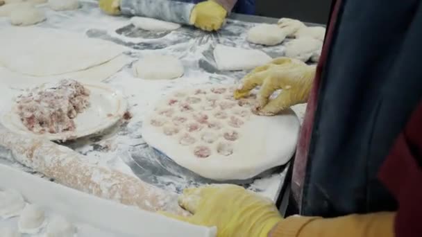 Women Molding Dumplings Semi Finished Products Factory Food Production — Stock Video