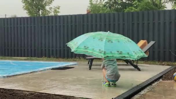 Rolig Liten Pojke Med Stor Strand Paraply Promenader Regnet Nära — Stockvideo