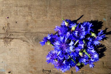 Çiçek çiçeği. Ahşap bir zemin üzerinde mavi çiçekler