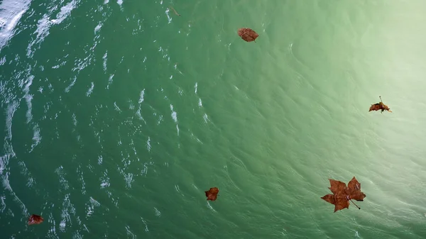 Fondo Agua Verde Con Hojas Otoño Lugar Para Inscripción —  Fotos de Stock