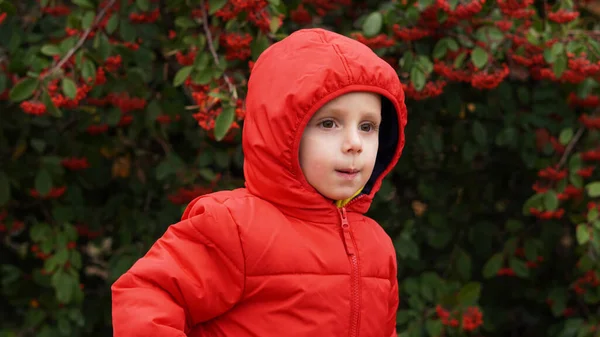 Uma Criança Uma Jaqueta Vermelha Com Capuz Contra Fundo Uma — Fotografia de Stock