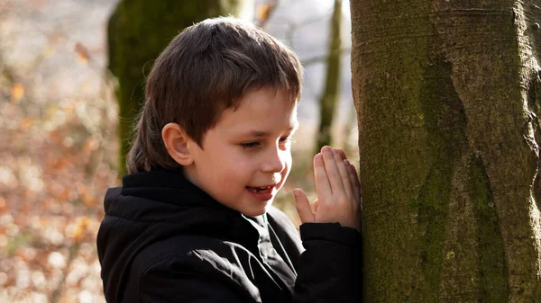 Hide Seek Boy Counts Next Tree Raising His Hands His — Fotografia de Stock