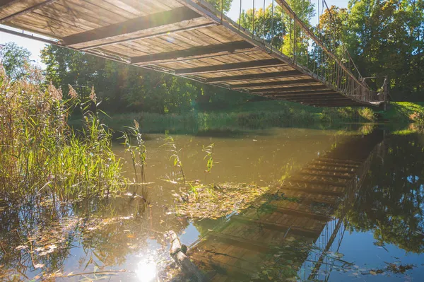 Pont Câble Bois Sur Rivière Avec Une Broche Bas Pont — Photo