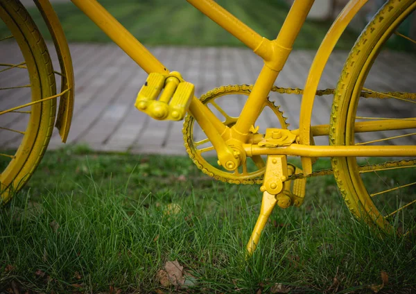 Yellow Bicycle Green Grass Yellow Chain Sprocket Pedals Frame Tires — Stock Photo, Image