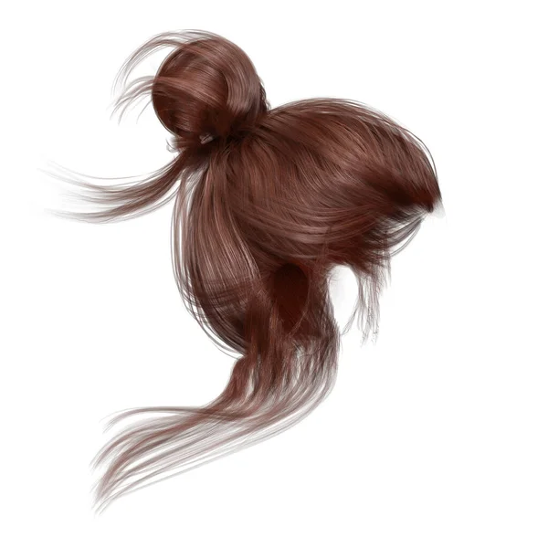 Modern Updo Isolated White Background Render Illustration — 스톡 사진