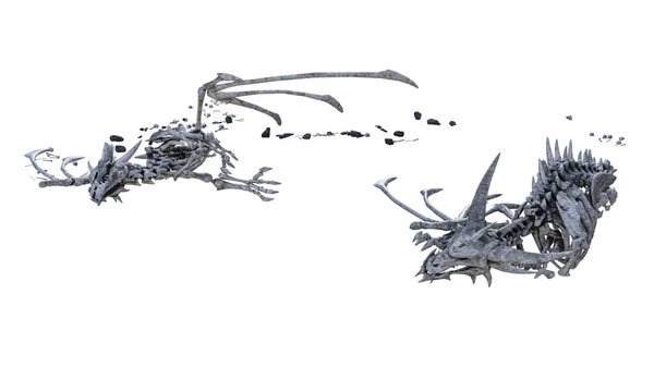 Кости Дракона Изолированном Белом Фоне Иллюстрация Рендеринг — стоковое фото