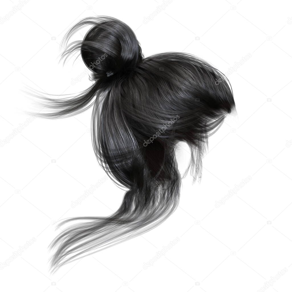 Contemporary Updo on isolated white background, 3d render, 3d illustration