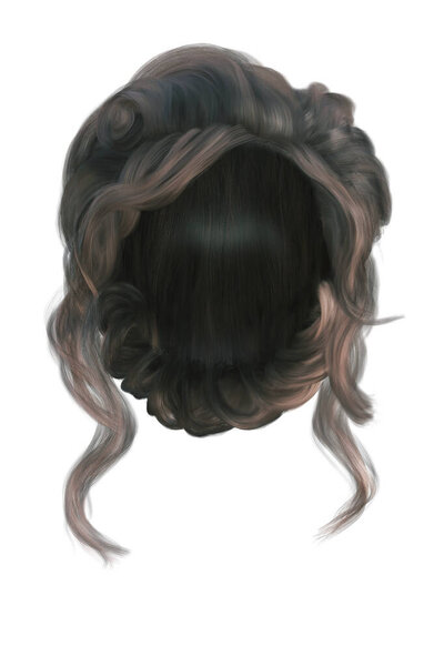 Fantasy medieval updo hair on isolated white background, 3d render, 3d illustration