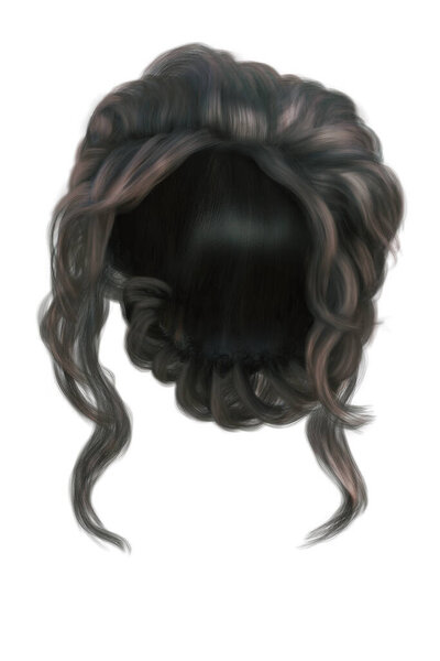 Fantasy medieval updo hair on isolated white background, 3d render, 3d illustration