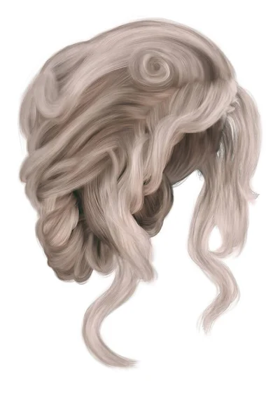 Fantasy Středověké Updo Vlasy Izolovaném Bílém Pozadí Vykreslení Ilustrace — Stock fotografie