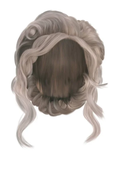 Fantasy Middle Updo Hair Isolated White Background Render Illustration — 스톡 사진
