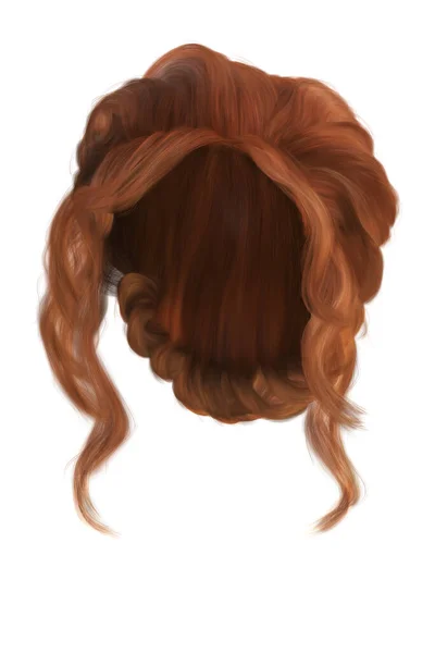 Фантазия Средневековые Волосы Updo Изолированном Белом Фоне Рендеринг Иллюстрация — стоковое фото
