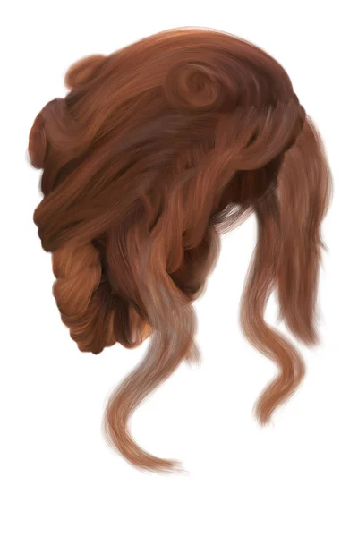 Фантазия Средневековые Волосы Updo Изолированном Белом Фоне Рендеринг Иллюстрация — стоковое фото