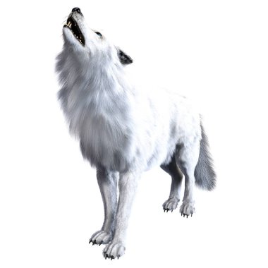 İzole edilmiş arka plan, 3 boyutlu illüstrasyon, 3 boyutlu görüntüleme