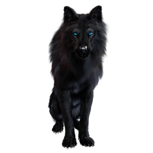 Dire Wolf Isolated Background Illustration Rendering — Stock Photo, Image