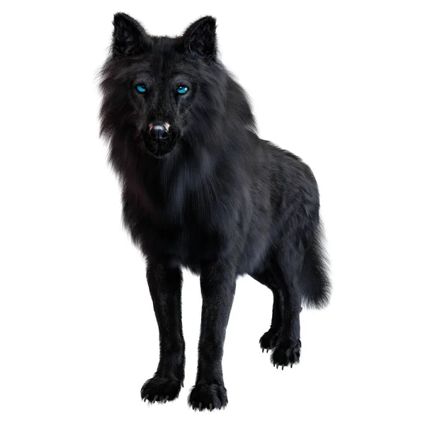 Dire Wolf Isolated Background Illustration Rendering — Stock Photo, Image