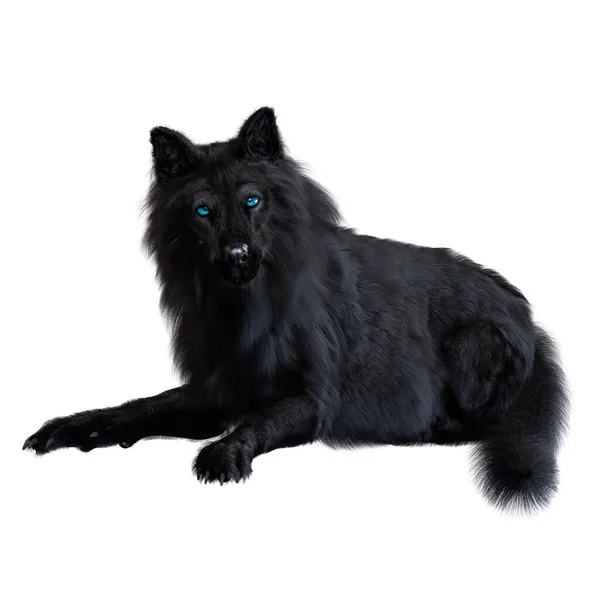 Dire Wolf Isolated Background Illustration Rendering — Stock Photo, Image