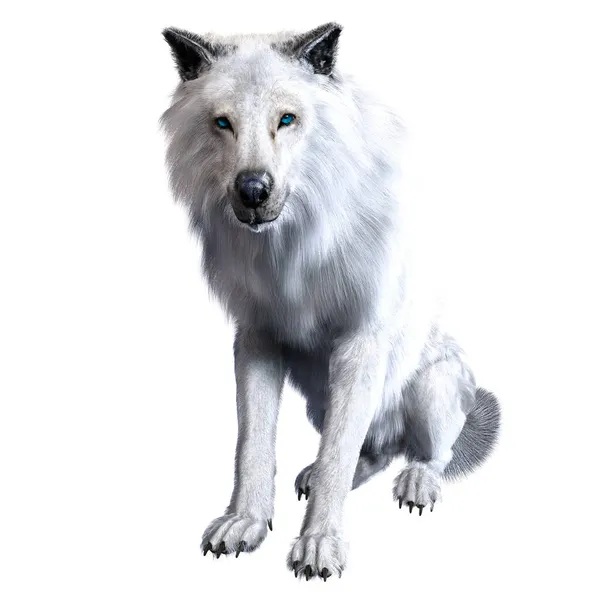 Dire Wolf Geïsoleerde Achtergrond Illustratie Rendering — Stockfoto