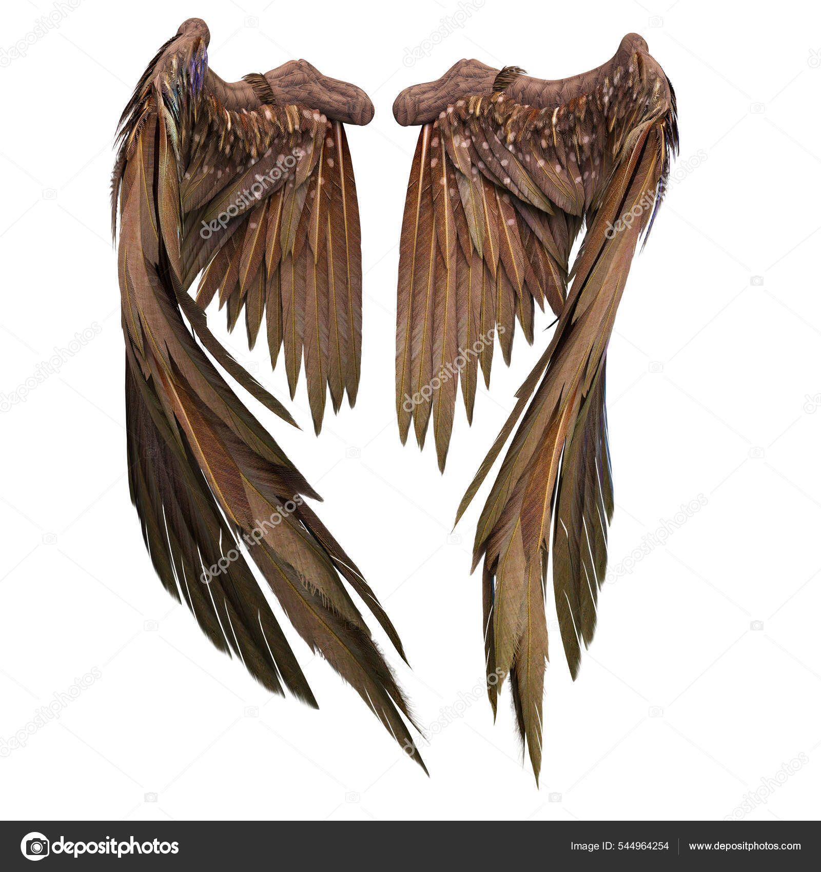 Pair Isolated Brown Angel Style Wings Feathers White Background
