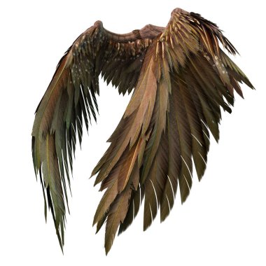 Pair of isolated brown angel style wings with 3D feathers on white background, 3D Illustration, 3D Rendering clipart