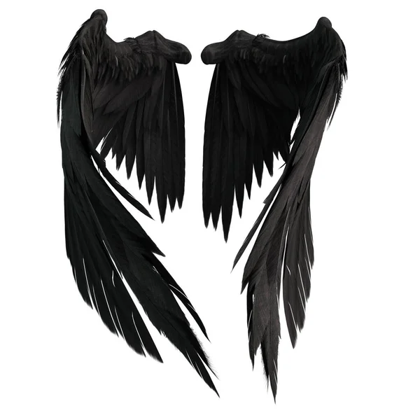 Pair Isolated Black Angel Style Wings Feathers White Background Illustration — Stock Photo, Image