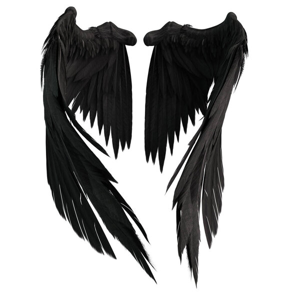 Pair of isolated black angel style wings with 3D feathers on white background, 3D Illustration, 3D Rendering