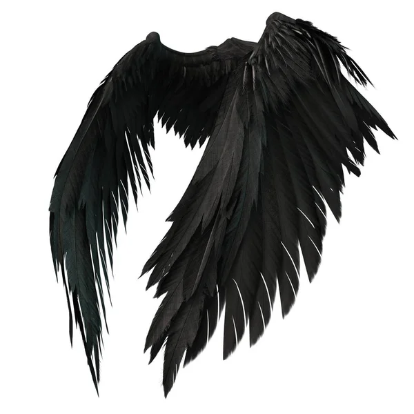 Pair Isolated Black Angel Style Wings Feathers White Background Illustration — Stock Photo, Image