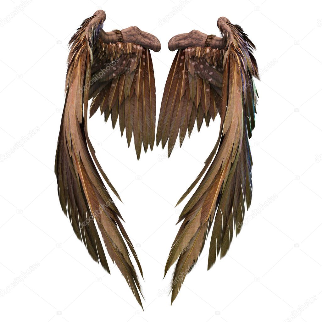 Pair of isolated brown angel style wings with 3D feathers on white background, 3D Illustration, 3D Rendering