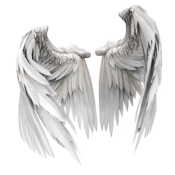 Пара Ізольованих Ангельських Крил Пір Білому Тлі Ілюстрація Рендеринг — стокове фото