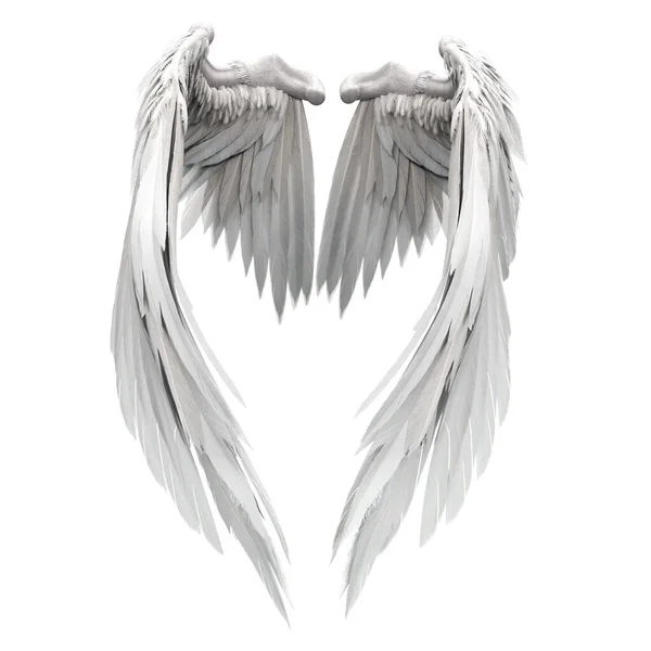 Pair Isolated Angel Wings Feathers White Background Illustration Rendering — Stock Photo, Image