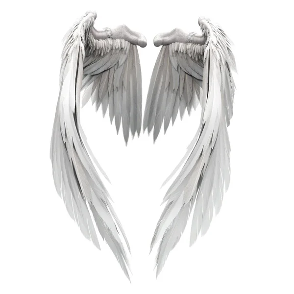 Paire Ailes Ange Isolées Avec Plumes Sur Fond Blanc Illustration — Photo