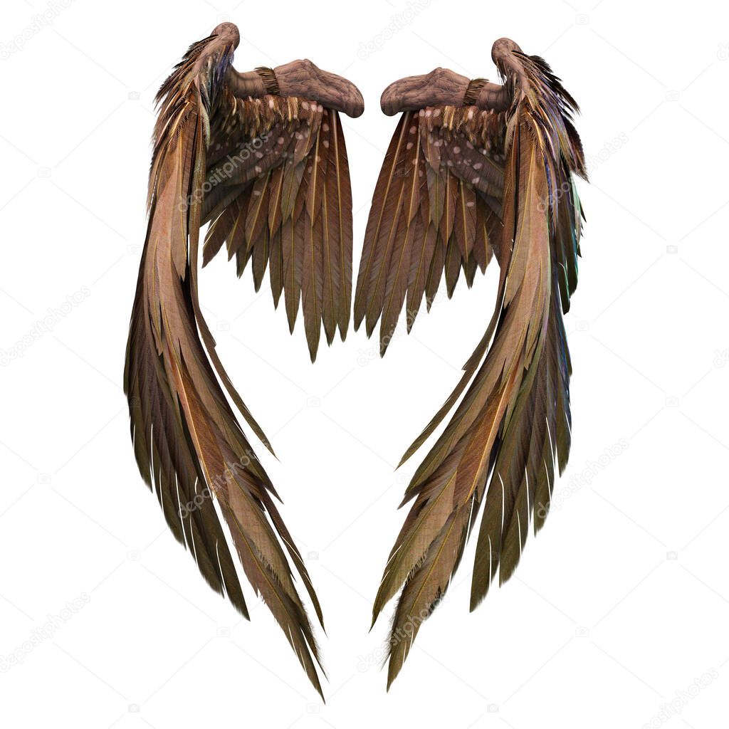 Pair of isolated angel wings with 3D feathers on white background, 3D Illustration, 3D Rendering