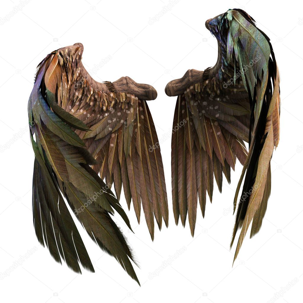 Pair of isolated angel wings with 3D feathers on white background, 3D Illustration, 3D Rendering