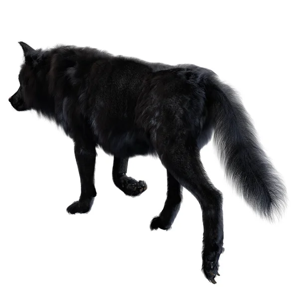 Жуткий Волк Изолированном Фоне Иллюстрация Рендеринг — стоковое фото
