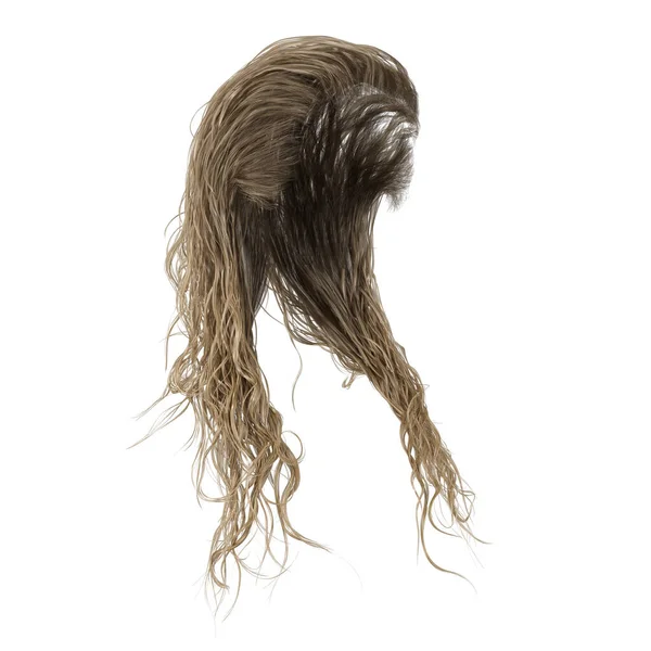 隔離された白い背景のブロンドの長い濡れた髪 3Dレンダリング 3Dイラスト — ストック写真